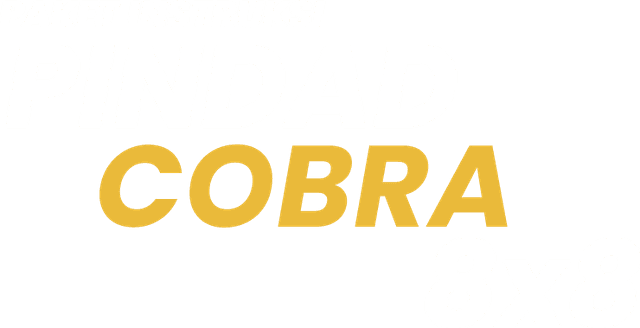cobra_paket_text